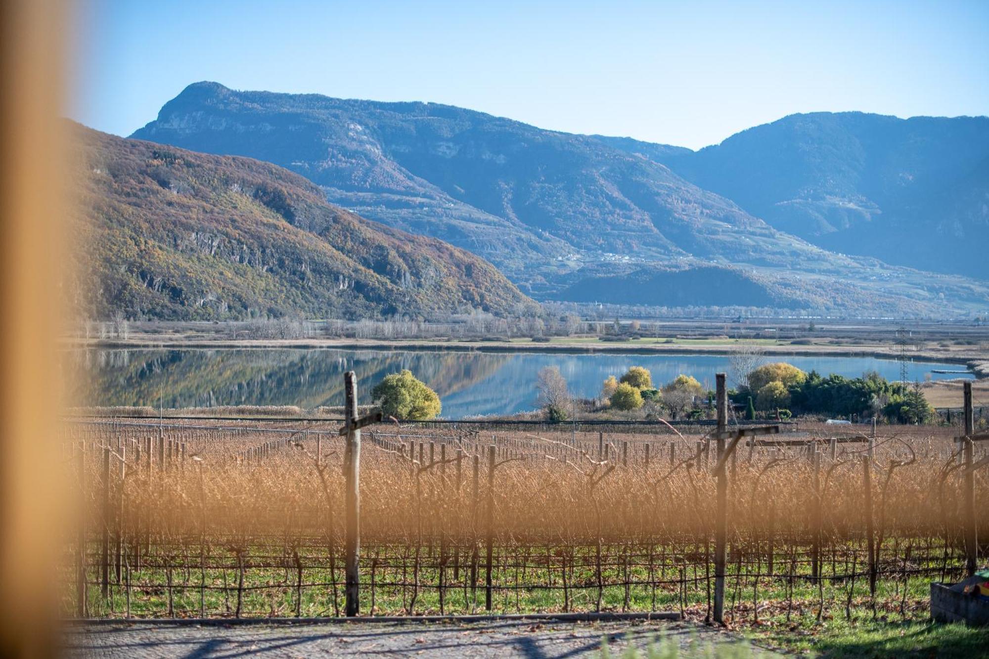 Weinhof Am See Caldaro Eksteriør bilde